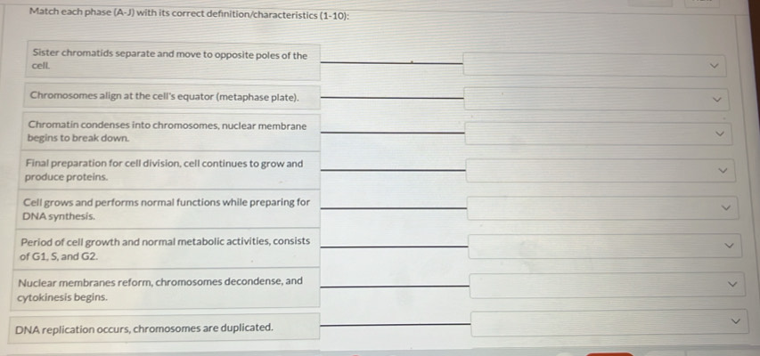 Match each phase (A-J) with its correct defnition/characteristics (1-10) : 
Sister chromatids separate and move to opposite poles of the 
cell. 
Chromosomes align at the cell's equator (metaphase plate). 
Chromatin condenses into chromosomes, nuclear membrane 
begins to break down. 
Final preparation for cell division, cell continues to grow and 
produce proteins. 
Cell grows and performs normal functions while preparing for 
DNA synthesis. 
Period of cell growth and normal metabolic activities, consists° 
of G1, S, and G2. 
Nuclear membranes reform, chromosomes decondense, and 
cytokinesis begins. 
DNA replication occurs, chromosomes are duplicated.