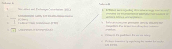 Column A Column B
1 _Securities and Exchange Commission (SEC) a. Enforces laws regarding alternative energy sources and
oversees the development of alternative fuel sources for
2._ Occupational Safety and Health Administration vehicles, homes, and appliances.
(OSHA)
_
3. Federal Trade Commission (FTC) b. Enforces consumer protection laws by ensuring fair
competition that is free from deceptive business
4. a Department of Energy (DOE) practices.
c. Enforces the guidelines for worker safety.
d. Protects investors by regulating the market for stocksi
and bonds.