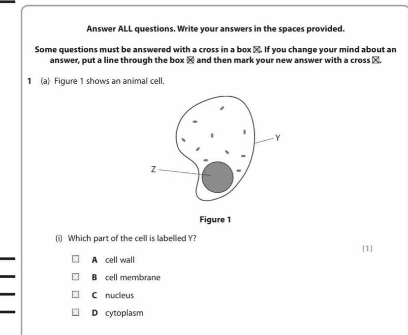 Answer ALL questions. Write your answers in the spaces provided.
Some questions must be answered with a cross in a box ≌. If you change your mind about an
answer, put a line through the box × and then mark your new answer with a cross α.
1 (a) Figure 1 shows an animal cell.
Figure 1
(i) Which part of the cell is labelled Y?
(1)
A cell wall
B cell membrane
C nucleus
D cytoplasm