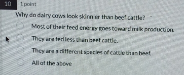 10 1 point
Why do dairy cows look skinnier than beef cattle?
Most of their feed energy goes toward milk production.
They are fed less than beef cattle.
They are a different species of cattle than beef.
All of the above