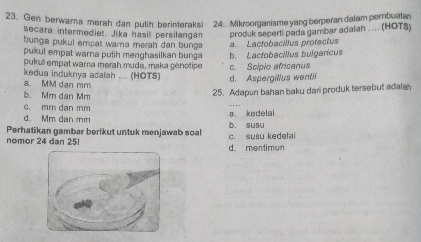 Gen berwarna merah dan putih berinteraksi a 24. Mikroorganisme yang berperan dalam pembuatan
secara intermediet. Jika hasil persilangan produk seperti pada gambar adalah ... (HOTS)
bunga pukul empat warna merah dan bunga a. Lactobacillus protectus
pukul empat warna putih menghasilkan bunga b. Lactobacillus bulgaricus
pukul empat warna merah muda, maka genotipe c. Scipio africanus
kedua induknya adalah .... (HOTS)
d. Aspergillus wentii
a. MM dan mm
b. Mm dan Mm
25. Adapun bahan baku dari produk tersebut adalah
c. mm dan mm
d. Mm dan mm a. kedelai
b. susu
Perhatikan gambar berikut untuk menjawab soal
nomor 24 dan 25! c. susu kedelai
d. mentimun