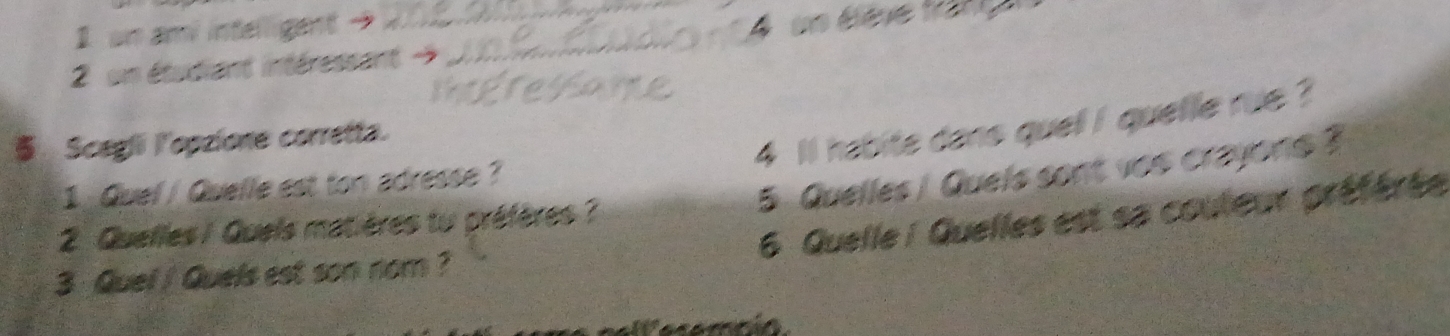 an amy intelligent - 
2 un étudiant intéressant - _ 4 u ééle tag 
$ Scegli l'opzione corretta. 
4 l habite dans quell i quelle rue ? 
5 . Quelles / Quels sont vos crayons ? 
1 Quel / Quelle est ton adresse ? 
6 Quelle i Quelles est sa couleur préférée 
2. Quelles / Quels matières tu préfères ? 
3 Quel / Quels est son nom ? 
Wanartin