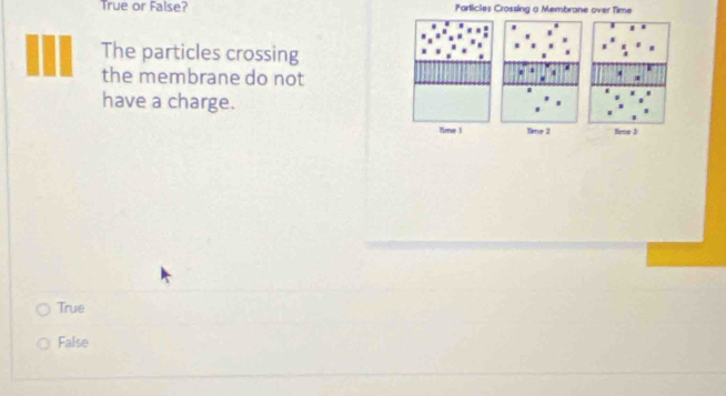 True or False? Particles Crossing a Membrane over Time
The particles crossing
the membrane do not
have a charge.
True
False