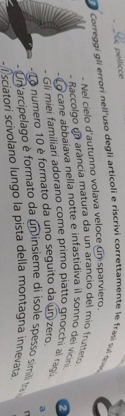 pellicce 
Corregg i g li errori nell'uso degli articoli e riscrivi correttamente le frasí su qu 
- Nel cielo d'autunno volava veloce un sparviero. 
- Raccolgo un arância matura da un arancio del mio frutteto. 
- Lo cane abbaiava nella notte e infastidiva il sonno dei vicini. 
2 
- Gli miei familiari adorano come primo piatto gnocchi al ragù. 
- Lo numero 10 è formato da uno seguito da un zero. 
a 
- Un arcipelago è formato da un insieme di isole spesso simili tra n
-1 I sciatori scivolano lungo la pista della montagna innevata.