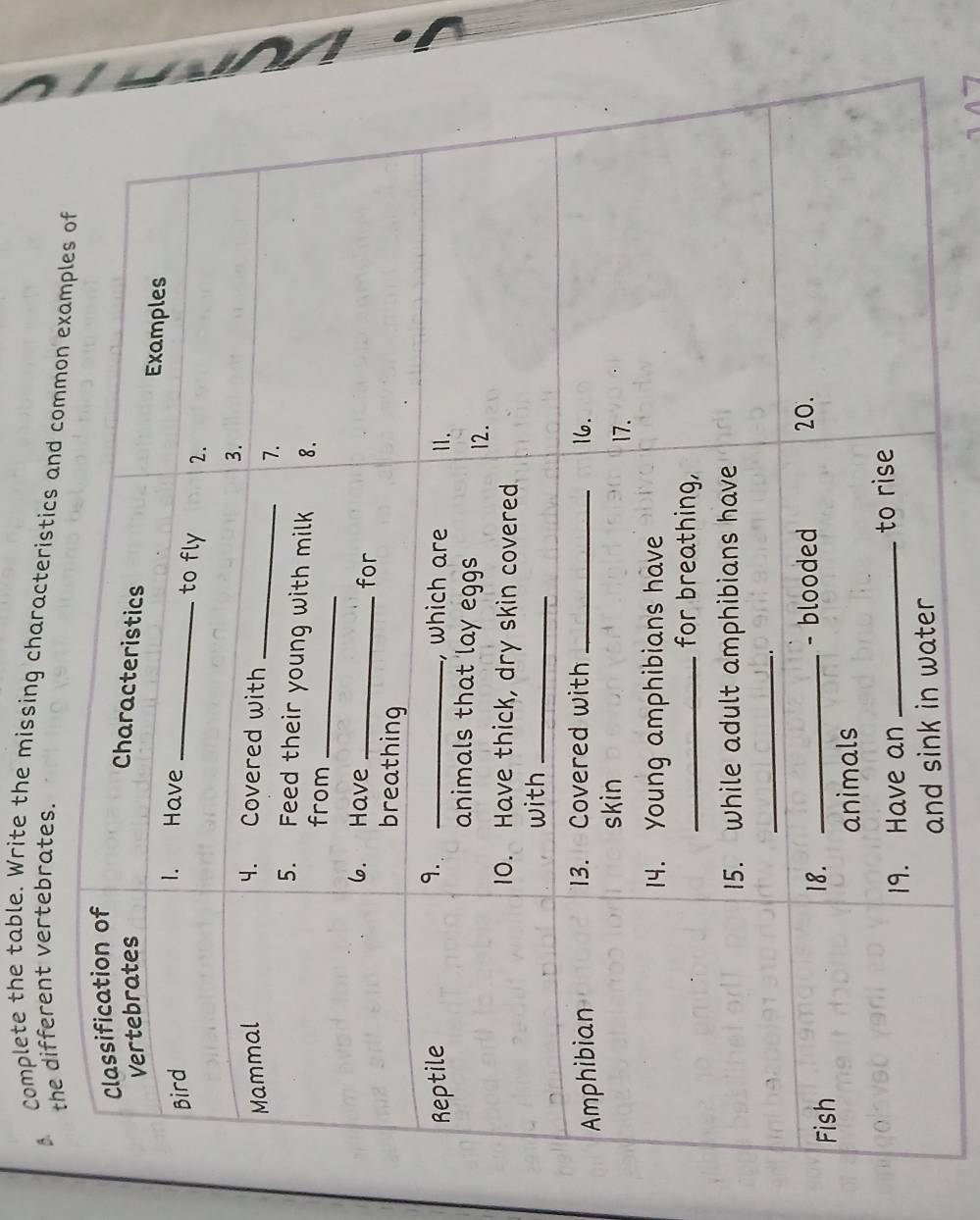 Complete the table. Write the missing characteristics 
ifferent vertebrates. 
and