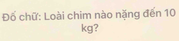 Đố chữ: Loài chim nào nặng đến 10
kg?