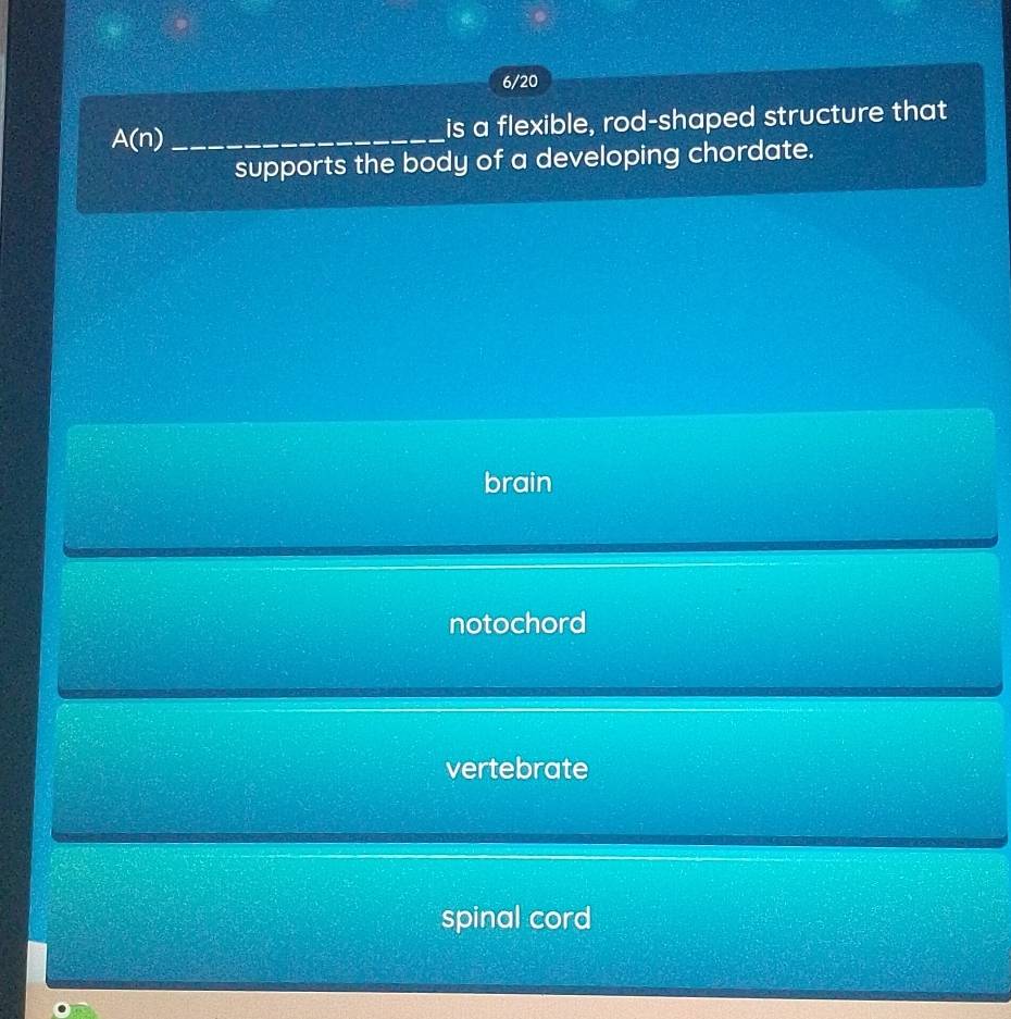 6/20
A(n) _is a flexible, rod-shaped structure that
supports the body of a developing chordate.
brain
notochord
vertebrate
spinal cord