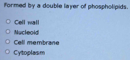 Formed by a double layer of phospholipids.
Cell wall
Nucleoid
Cell membrane
Cytoplasm