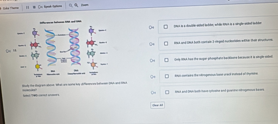 Color Theme 11 Speak Options Zoom
DNA is a double-sided ladder, while RNA is a single sided ladder
RNA and DNA both contain 2 -ringed nucleotides within their structures.
Only RNA has the sugar-phosphate backbone because it is single-sided.
RNA contains the nitrogenous base uracil instead of thymine.
Study the diagram above. What are some key differences between DNA and RNA
molecules?
Select TWO correct answers. RNA and DNA both have cytosine and guanine nitrogenous bases
Clear All