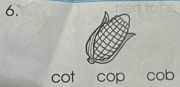 cot cop cob