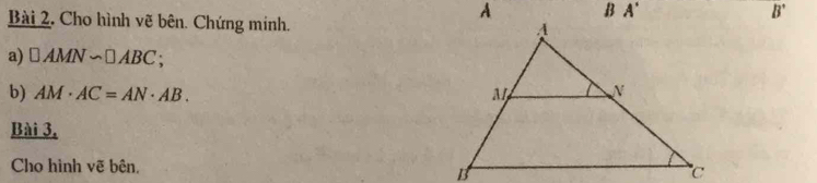 Cho hình vẽ bên. Chứng minh.
A' B°
a) □ AMNsim □ ABC; 
b) AM· AC=AN· AB. 
Bài 3. 
Cho hình vẽ bên.