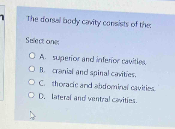 The dorsal body cavity consists of the:
Select one:
A. superior and inferior cavities.
B. cranial and spinal cavities.
C. thoracic and abdominal cavities.
D. lateral and ventral cavities.