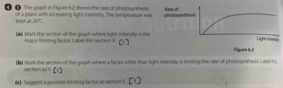 4⑤ The graph in Figure 6.2 shows the rate of photosynthesis 
of a plant with increasing light intensity. The temperature was 
kept at 20°C. 
(a) Mark the section of the graph where light intensity is the 
major limiting factor. Label this section X. 
(b) Mark the section of the graph where a factor other than light intensity is limiting the rate of photosynthesis. Label this 
section as Y. 
(c) Suggest a possible limiting factor at section Y.