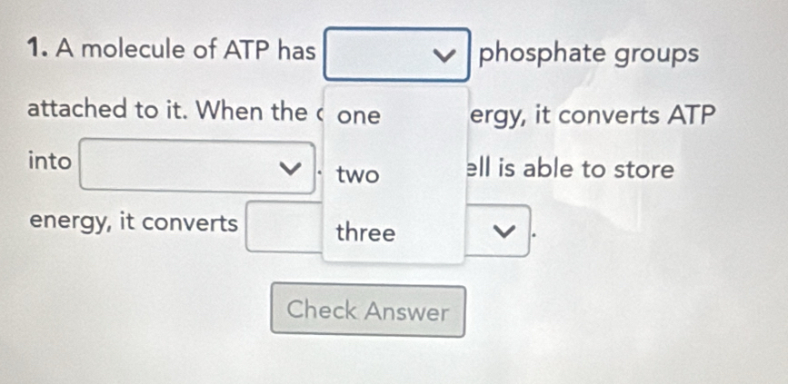 A molecule of ATP has phosphate groups 
attached to it. When the one ergy, it converts ATP 
into □. two ell is able to store 
energy, it converts □ three v. 
Check Answer