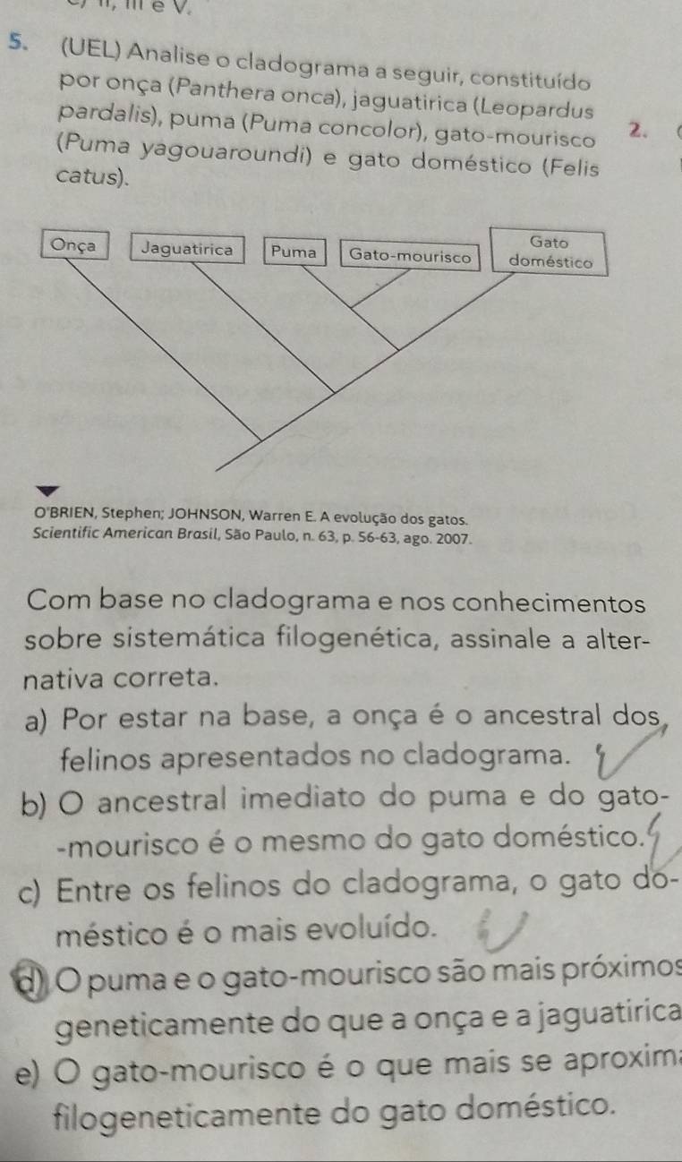 (UEL) Analise o cladograma a seguir, constituído
por onça (Panthera onca), jaguatirica (Leopardus
pardalis), puma (Puma concolor), gato-mourisco 2.
(Puma yagouaroundi) e gato doméstico (Felis
catus).
O'BRIEN, Stephen; JOHNSON, Warren E. A evolução dos gatos.
Scientific American Brasil, São Paulo, n. 63, p. 56 - 63, ago. 2007.
Com base no cladograma e nos conhecimentos
sobre sistemática filogenética, assinale a alter-
nativa correta.
a) Por estar na base, a onça é o ancestral dos,
felinos apresentados no cladograma.
b) O ancestral imediato do puma e do gato-
-mourisco é o mesmo do gato doméstico.
c) Entre os felinos do cladograma, o gato do-
méstico é o mais evoluído.
d) O puma e o gato-mourisco são mais próximos
geneticamente do que a onça e a jaguatírica
e) O gato-mourisco é o que mais se aproxim:
filogeneticamente do gato doméstico.