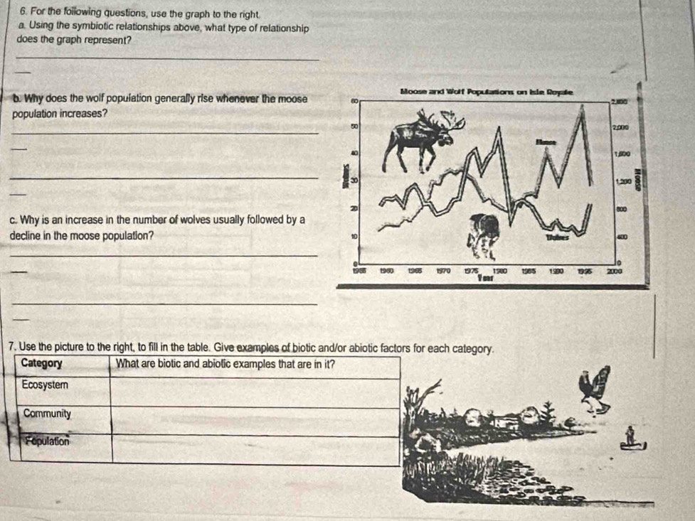 For the following questions, use the graph to the right. 
a. Using the symbiotic relationships above, what type of relationship 
does the graph represent? 
_ 
_ 
b. Why does the wolf population generally rise whenever the moose 
population increases? 
_ 
_ 
_ 
_ 
c. Why is an increase in the number of wolves usually followed by a 
decline in the moose population? 
_ 
_ 
_ 
_ 
7. Use the picture to the right, to fill in the table. Give examples of biotic and/or abiotic factors fategory.