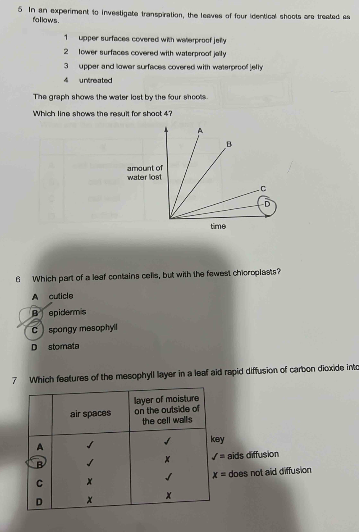 In an experiment to investigate transpiration, the leaves of four identical shoots are treated as
follows.
1 upper surfaces covered with waterproof jelly
2 lower surfaces covered with waterproof jelly
3 upper and lower surfaces covered with waterproof jelly
4 untreated
The graph shows the water lost by the four shoots.
Which line shows the result for shoot 4?
amou
water
6 Which part of a leaf contains cells, but with the fewest chloroplasts?
A cuticle
B epidermis
C spongy mesophyll
D stomata
7 Which features of the mesophyll layer in a leaf aid rapid diffusion of carbon dioxide into
y
aids diffusion
does not aid diffusion