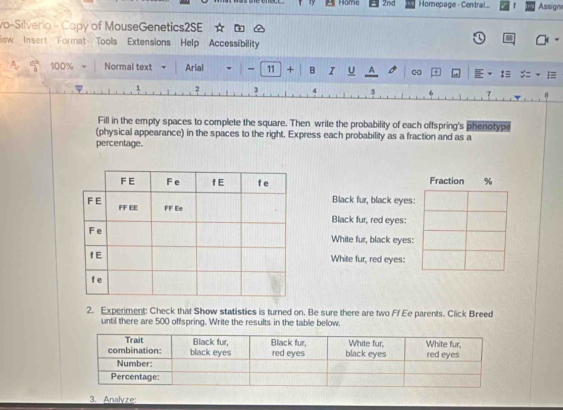 Home 2nd Homepage - Central... Assignr 
vo-Silverio - Copy of MouseGenetics2SE 
ew Insert Format Tools Extensions Help Accessibility 
A. 100% Normal text Arial 11 + B I U A - ÷ E
1 2 3 4 5 6
Fill in the empty spaces to complete the square. Then write the probability of each offspring's phenotype 
(physical appearance) in the spaces to the right. Express each probability as a fraction and as a 
percentage. 
Fraction %
Black fur, black eyes: 
Black fur, red eyes: 
White fur, black eyes: 
White fur, red eyes: 
2. Experiment: Check that Show statistics is turned on. Be sure there are two Ff Ee parents. Click Breed 
until there are 500 offspring. Write the results in the table below. 
3. Analyze: