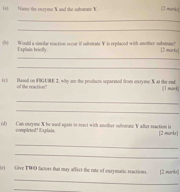 Name the enzyme X and the substrate Y. [2 marks] 
_ 
_ 
(b) Would a similar reaction occur if substrate Y is replaced with another substrate? 
Explain briefly. [2 marks] 
_ 
_ 
(c) Based on FIGURE 2, why are the products separated from enzyme X at the end 
of the reaction? [1 mark] 
_ 
_ 
(d) Can enzyme X be used again to react with another substrate Y after reaction is 
completed? Explain. [2 marks] 
_ 
_ 
(e) Give TWO factors that may affect the rate of enzymatic reactions. [2 marks] 
_ 
_