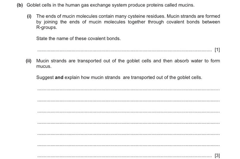 Goblet cells in the human gas exchange system produce proteins called mucins. 
(i) The ends of mucin molecules contain many cysteine residues. Mucin strands are formed 
by joining the ends of mucin molecules together through covalent bonds between 
R-groups. 
State the name of these covalent bonds. 
_[1] 
(ii) Mucin strands are transported out of the goblet cells and then absorb water to form 
mucus. 
Suggest and explain how mucin strands are transported out of the goblet cells. 
_ 
_ 
_ 
_ 
_ 
_ 
_[3]