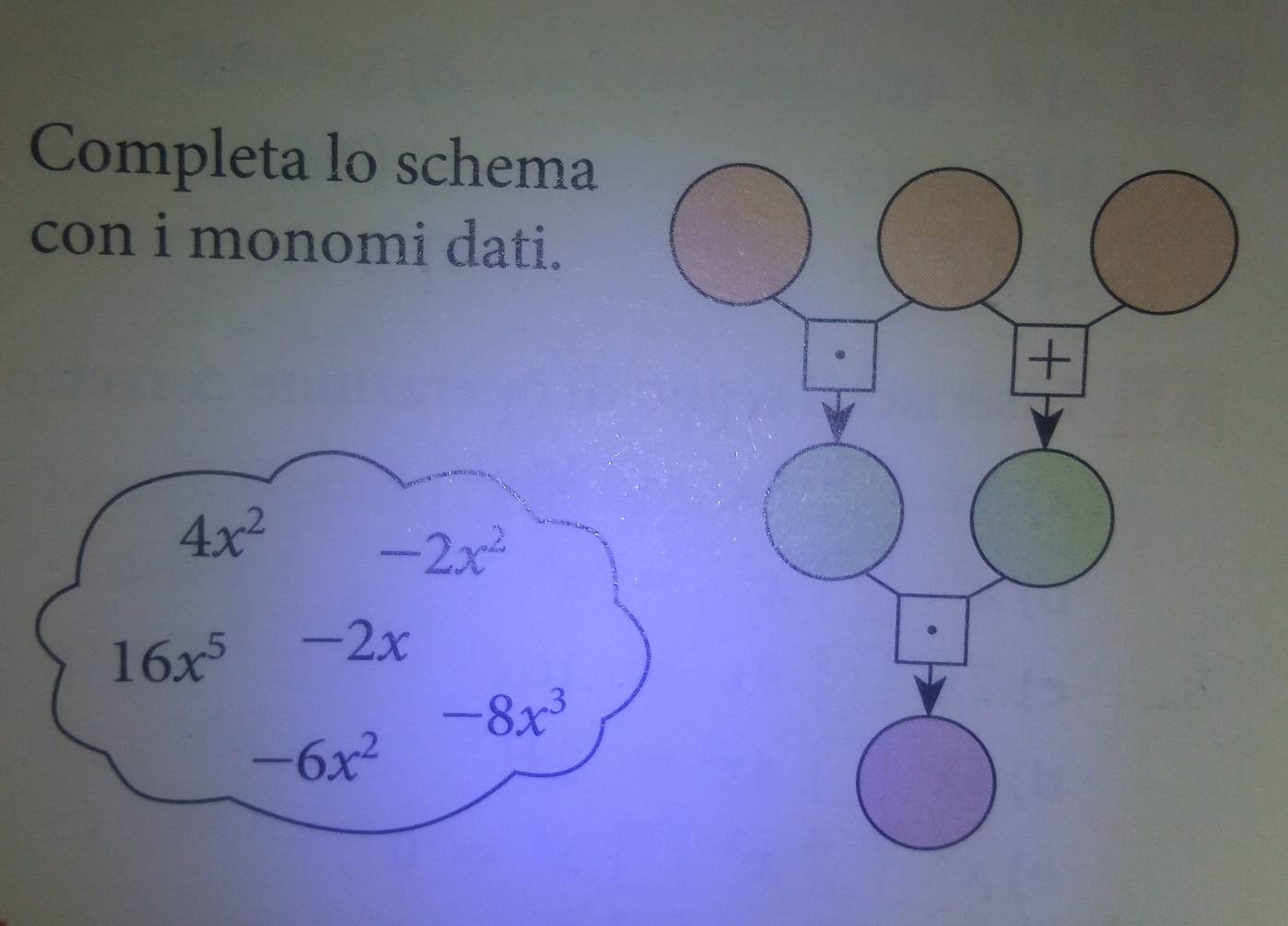 Completa lo schema 
con i monomi dati.
4x^2
-2x^2
16x^5 -2x
-8x^3
-6x^2