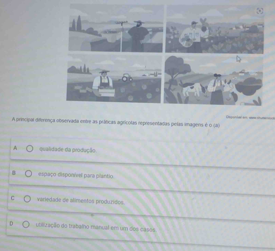 Disponível em: www.shutterstock
A principal diferença observada entre as práticas agrícolas representadas pelas imagens é o (a)
A qualidade da produção.
B espaço disponível para plantio.
C variedade de alimentos produzidos.
D utilização do trabalho manual em um dos casos