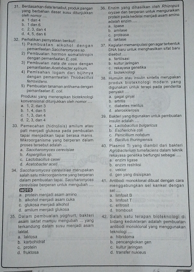 Berdasarkan data tersebut, produk pangan 36. Enzim yang dihasilkan cleh Rhizopus
oleh nomor .... yang berbahan dasar susu ditunjukkan oryzee dan berperan untuk menguraikan
b. 1 dan 6 a 1 dan 4   lh  nzim     proteín pada kedelai menjadi asam amino
d. 4, 5. dan 6 c 2, 3, dan 4 b. amilase a lipase
d. laktase c. protease
32. Perhatikan pernyataan berkut! 1) Pembuatan alkohol dengan 37. Kegiatan memanipulasi gen agar terbentuk
pemanfaalan Saccharomyces sp
2) Pembuatan hormon somatotropin disebut .... DNA baru untuk menghasilkan sifat baru
dengan pemanfaatan E. coü.
3) Pembuatán nata de coco denga b kultur jaringan afertilisas
pemanfaatan Acerobacter xylnwn.
4) Pemisahan logam dari bijihnya d. bioteknologi c.rekayasa genetika
ferroxidavis. dengan pemanfaatan Thiobacilus 38. Humuin atau insulin sintels merupakan
produk bioteknologi modern yang 
5) Pembuatan tanaman antihama dergan digunakan unluk terapi pada penderta
pemanfa tan E  o 
Produksi yanq menerapkan bioteknologi penyakit    
konvensional diturjukkan aleh namor ... a. gagal ginjal b. artritis
b. 1, 4. dan 5 a. 1, 2, dan 3 c. diabetes melitus
d. aterosklerosis
d. 2. 3, dan 4 c. 1. 3. dan 4 39. Bakteri yang digunakan unluk pembuatan
insulin adalah ....
33. Pemecahan (hidrolisis) amilum atau E  cherichia c a. Lactobacilvs bulgaricus
pati menjadi glukosa pada pembuatan c. Penicilium notafum
tapai menjadikan tapai berasa manis. d. Bacillus thunngiensis
proses tersebut adalah .... Mikroorganisme yang berperan dalam 40. Plasmid Ti yang diambil dari bakteri
b. Aspergilus sp a. Saccharomyces cerevísiae Agrobacterium twmefaciens dalam teknik
rekayasa genetika berfungsi sebagai ....
d. Acetobacter ace c. Lacfobacilus casei a. enzim ligase
34. Saccharomyces cerevisiae merupakan b. enzim restriksi c. vektor
salah satu mikrooranisme vang berpérán
dailam pembuatan tapai. Saccharomyces d. gen yang disisipkan
cerevisise berperan untuk mengubah .... 41. Antibodi monoklonal dibuat dengan cara
menggabungkan sel kanker dengan
a. limfosit B se ....
a. protein menjadi asam amino HOTS
c. glukosa menjadi alkohol b. alkohol menjadi asam cuka b. limfosit T
d. amilum menjadi glukosa d. trambosit c. eritrosit
35. Dalam pembuatan yoghurt, bakteri 42. Saïah satu terapan bioteknologi di
asam laktat mampu mengubah ... yang bidang kedokteran adallah pembuatan 
terkandung dalam susu menjadi asam antibodi morokional yang menggurakan
a. hibridoma teknollogi ....
a. laktosa iaktat.
b. karbohidrat b. pencangkokan gen
d. fruktosa c. protein c. kultur jaringan d. transfer nukieus