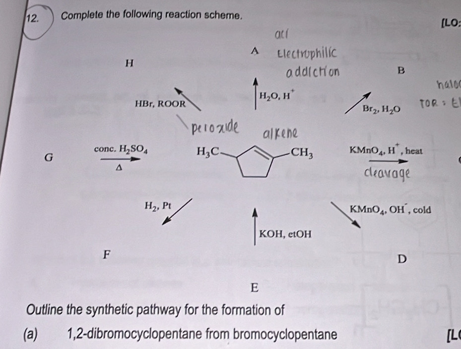 ) Complete the following reaction scheme. 
A
H
B
H_2O, H^+
HBr, ROOR
Br_2, H_2O
H_3C
G con . H_2SO_4 KMnO_4, H^+ , heat
CH_3
H_2, Pt , cold
KMnO_4 OH
KOH, etOH 
F 
D 
E 
Outline the synthetic pathway for the formation of 
(a) 1,2-dibromocyclopentane from bromocyclopentane [L