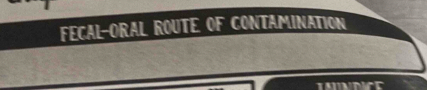 FECAL-ORAL ROUTE OF CONTAMINATION