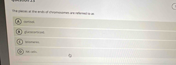 The pieces at the ends of chromosomes are referred to as
A cortisol.
B glucocorticold.
C telomeres
D NK cells.