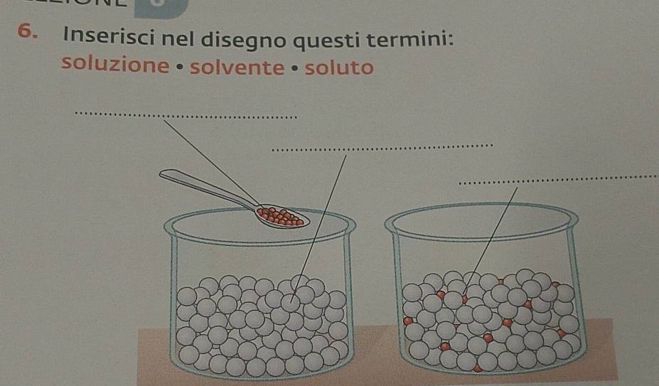 Inserisci nel disegno questi termini: 
soluzione • solvente • soluto 
_ 
_ 
_