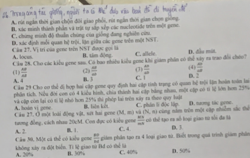 A. rút ngăn thời gian chộn đôi giao phối, rút ngắn thời gian chọn gióng
B. xác minh thành phần và trật tự sắp xếp các nucleotide trên một gene.
C. chứng mính độ thuân chúng của giống đang nghiên cứu.
D. xác định mối quan hệ trội, lận giữa các gene trên một NST.
Câu 27. Vị trí của gene trên NST được gọi là
A. locus. B. tâm động. C. allele. D. đầu mứt.
Cầu 28. Cho các kiểu gene sau. Có bao nhiêu kiểu gene khi giám phân có thể xây ra trao đổi chéo?
(1)  AB/AB  (2)  AB/ab  (3)  Ab/ab 
(4)  Ab/aB 
A. 4 B. 3 C. 1 D. 2
Câu 29 Cho cơ thể đị hợp hai cặp gene quy định hai cặp tính trạng có quan hệ trội lận hoàn toàn lai
phân tích. Nếu đời con có 4 kiểu hình, chia thành hai cặp bằng nhau, một cập có tỉ lệ lớn hơn 25%
và cập còn lại có tỉ lệ nhỏ hơn 25% thì phép lai trên xây ra theo quy luật
A. hoán vị gene. B. liên kết C. phân lì độc lập. D. tương tác gene.
Câu 27. Ở một loài động vật, xét hai gene (M,m) và (N,n) cùng năm trên một cập nhiêm sắc thể
tương đồng, cách nhau 20cM. Con đực có kiêu gene  MN/mN  có thể tạo ra số loại giao tứ tối đa là
A. 2. B. 1. C. 4. D.3.
Câu 30, Một cá thể có kiểu gene  BD/bd  giảm phân tạo ra 4 loại giao tử. Biết trong quá trình giảm phân
không xày ra đột biển. Tì lệ giao tứ Bđ có thể là
A. 20% B. 30% C. 40% D. 50%