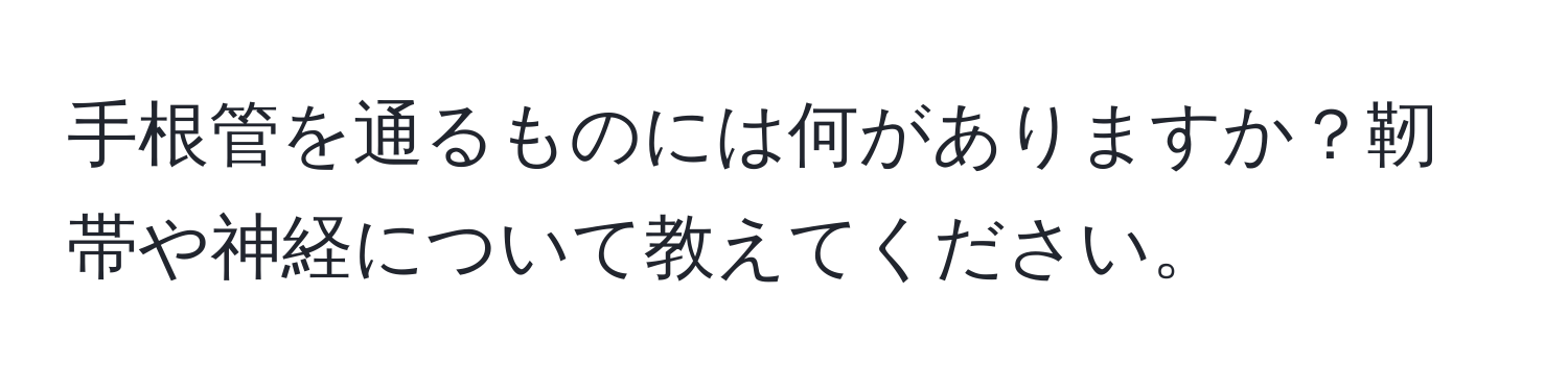 手根管を通るものには何がありますか？靭帯や神経について教えてください。