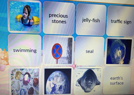 precious
stones jelly-fish traffic sign
swimming seal
earth's
surface