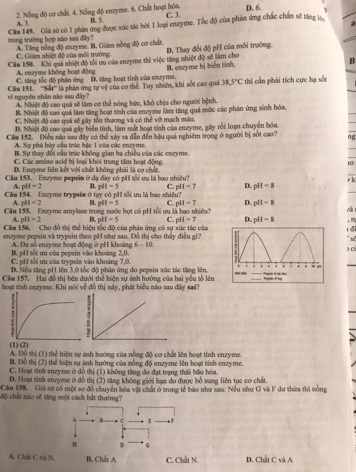 Nồng độ cơ chất. 4. Nồng độ enzyme. 6. Chất hoạt hóa. D. 6.
A. 3. B. 5. C. 3.
Câu 149. Giả sử có 1 phản ứng được xúc tác bởi 1 loại enzyme. Tốc độ của phản ứng chắc chắn sẽ tăng lên
a
trong trường hợp nào sau đây?
A. Tăng nồng độ enzyme. B. Giảm nồng độ cơ chất.
C. Giảm nhiệt độ của môi trường. D. Thay đổi độ pH của môi trường.
Câu 150. Khi quá nhiệt độ tối ưu của enzyme thì việc tăng nhiệt độ sẽ làm cho
A. enzyme không hoạt động B. enzyme bị biến tính. B
C. tăng tốc độ phản ứng D. tăng hoạt tính của enzyme.
Câu 151. “Sốt” là phản ứng tự vệ của cơ thể. Tuy nhiên, khi sốt cao quá 38,5°C thì cần phải tích cực hạ sốt
vì nguyên nhân nào sau đây?
A. Nhiệt độ cao quá sẽ làm cơ thể nóng bức, khó chịu cho người bệnh.
B. Nhiệt độ cao quá làm tăng hoạt tính của enzyme làm tăng quá mức các phản ứng sinh hóa.
C. Nhiệt độ cao quá sẽ gây tổn thương và có thể vỡ mạch máu.
D. Nhiệt độ cao quá gây biến tính, làm mất hoạt tính của enzyme, gây rối loạn chuyển hóa.
Câu 152. Điều nào sau dây có thể xảy ra dẫn đến hậu quả nghiêm trọng ở người bị sốt cao?
ng
A. Sự phá hủy cấu trúc bậc 1 của các enzyme.
B. Sự thay đổi cấu trúc không gian ba chiều của các enzyme.
C. Các amino acid bị loại khỏi trung tâm hoạt động. 10
D. Enzyme liên kết với chất không phải là cơ chất.
Câu 153. Enzyme pepsin ở dạ dày có pH tối ưu là bao nhiêu?
r k
A. pH=2 B. pH=5 C. pH=7 D. pH=8
Câu 154. Enzyme trypsin ở tụy có pH tối ưu là bao nhiêu?
A. pH=2 B. pH=5 C. pH=7 D. pH=8
Câu 155. Enzyme amylase trong nước bọt có pH tối ưu là bao nhiêu?
1à
A. pH=2 B. pH=5 C. pH=7 pH=8
, n
Câu 156. Cho đồ thị thể hiện tốc độ của phản ứng có sự xúc tác củađì
enzyme pepsin và trypsin theo pH như sau. Đồ thị cho thấy điều gì?
số
A. Đa số enzyme hoạt động ở pH khoảng 6-10.
 C
B. pH tối ưu của pepsin vào khoảng 2,0.
C. pH tối ưu của trypsin vào khoảng 7,0.
D. Nếu tăng pH lên 3,0 tốc độ phản ứng do pepsin xúc tác tăng lên.
Câu 157. Hai đồ thị bên dưới thể hiện sự ảnh hưởng của hai yếu tố lên
hoạt tính enzyme. Khi nói về đồ thị này, phát biểu nào sau đây sai?
(1) (2)
A. Đồ thị (1) thể hiện sự ảnh hưởng của nồng độ cơ chất lên hoạt tính enzyme.
B. Đồ thị (2) thể hiện sự ảnh hưởng của nồng độ enzyme lên hoạt tính enzyme.
C. Hoạt tính enzyme ở đồ thị (1) không tăng do đạt trạng thái bão hòa.
D. Hoạt tính enzyme ở đồ thị (2) tăng không giới hạn do được bồ sung liên tục cơ chất.
Câu 158. Giả sử có một sơ đồ chuyển hóa vật chất ở trong tế bào như sau: Nếu như G và F dư thừa thì nồng
độ chất nào sẽ tăng một cách bất thường?
A B C E F
N D G
A. Chất C và N. B. Chất A C. Chất N. D. Chất C và A