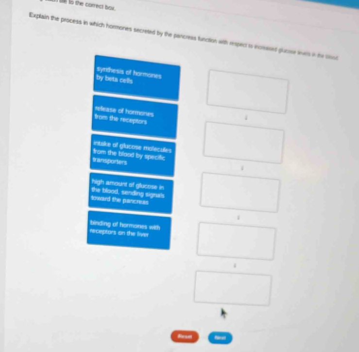 le to the correct bax.
Explain the process in which hormones secreted by the pancrews function with respectto incmased glucose tevers in the lnod
syrthesis of hormanes
by beta cells
release of hormones
from the receptors
irtake of glucose molecules
from the blood by specific
transporters
high amount of glucose in
the blood, sending signals
toward the pancreas
binding of hormones with
receptors on the liver
Reset firat