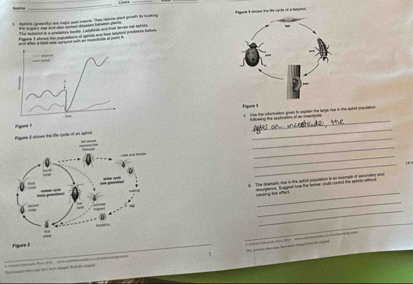 Name_ _Class_ 
3 Aphidts (greenfly) are major pest insects. They reduce plant growth by sucking Figure 3 shows the life cycle of a ladybird. 
the supary sap and also spread diseases between plants. 
The ladybird is a predatory beelle. Ladybirds and their larvae eat aphids. 
Figure 1 shows the poputations of aphids and their ladybird predators before 
and after a field was sprayed with an insecticide at point A. 
auhed 
_ad 
! 
_ Figure 3 
Figure 1 a Use the information given to explain the large rise in the aphid population 
_ 
Figure 2 shows the life cycle of an aphid. following the application of an insecticide. 
Gl sousl 
_ 
_ 
_ 
(4n 
b The dramatic rise in the aphid population is an example of secondary pes! 
resurgence. Suggest how the farmer could control the aphids without 
causing this effect. 
_ 
_ 
Figure 2 
C Owhed Emsersity Pers 2015 www ostodn tnlary onska knwlodgmne 
3 This resomee sheet me have teen changed tham the urgind 
C Chnt Cmoraty Pard 2016 ww aiscentary on sk akeowintgesne 
Ter camntce thas ono haee herk chanped frst te sginal