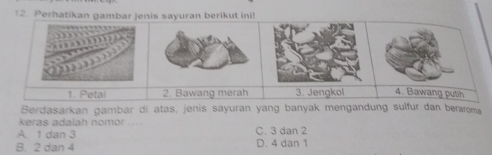 Perhatika
Berdasarkan gambar di atas, jenis sayuran yang banyak mengandung sulfur dan beraroma
keras adalah nomor ....
A. 1 dan 3
C. 3 dan 2
B. 2 dan 4 D. 4 dan 1