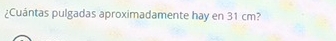 ¿Cuántas pulgadas aproximadamente hay en 31 cm?