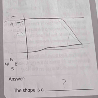 Answer: 
The shape is a _.