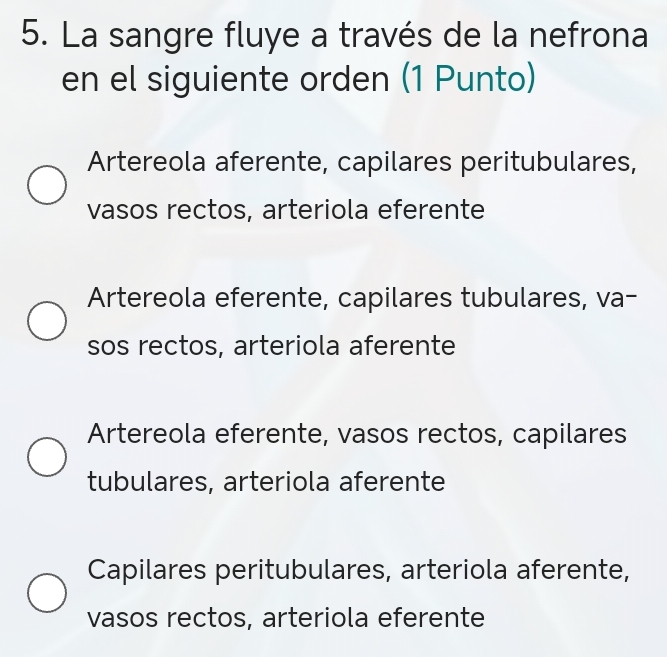 La sangre fluye a través de la nefrona
en el siguiente orden (1 Punto)
Artereola aferente, capilares peritubulares,
vasos rectos, arteriola eferente
Artereola eferente, capilares tubulares, va-
sos rectos, arteriola aferente
Artereola eferente, vasos rectos, capilares
tubulares, arteriola aferente
Capilares peritubulares, arteriola aferente,
vasos rectos, arteriola eferente