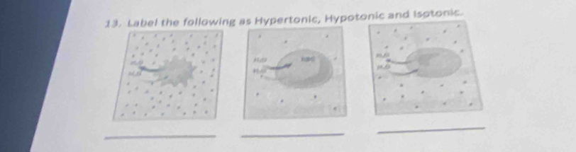 Label the following as Hypertonic, Hypotonic and Isotonic. 
_ 
_ 
_