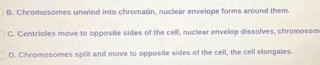 B. Chromosomes unwind into chromatin, nuclear envelope forms around them.
C. Centrioles move to opposite sides of the cell, nuclear envelop dissolves, chromosom
D. Chromosomes split and move to opposite sides of the cell, the cell elongates.