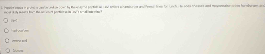 Peptide bonds in proteins can be broken down by the enzyme peptidase. Levi orders a hamburger and French fries for lunch. He adds chesses and mayonnaise to his hamnburger, and
most likely results from the action of peptidase in Levi's small intestine?
Lipid
Hydrocarbon
Amino acid
Glucose