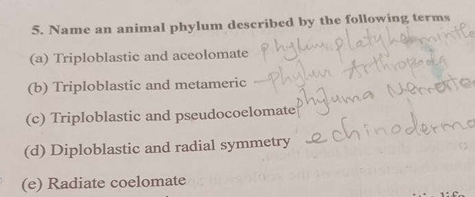 Name an animal phylum described by the following terms
(a) Triploblastic and aceolomate
(b) Triploblastic and metameric
(c) Triploblastic and pseudocoelomate
(d) Diploblastic and radial symmetry
(e) Radiate coelomate