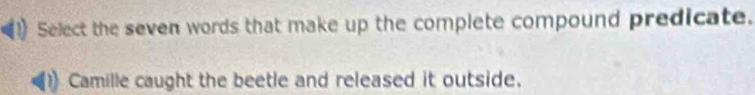 Select the seven words that make up the complete compound predicate.
Camille caught the beetle and released it outside.