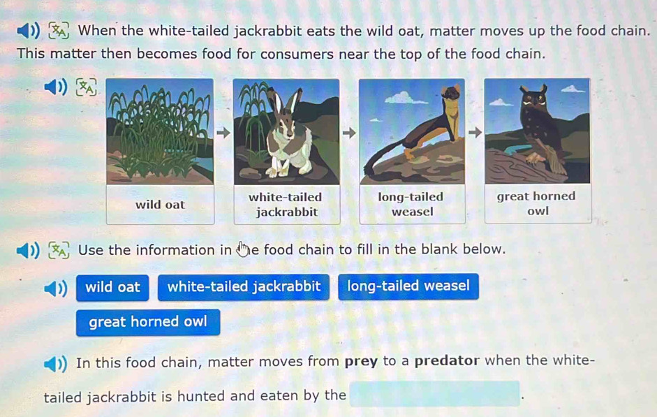 When the white-tailed jackrabbit eats the wild oat, matter moves up the food chain.
This matter then becomes food for consumers near the top of the food chain.
Use the information in e food chain to fill in the blank below.
wild oat white-tailed jackrabbit long-tailed weasel
great horned owl
In this food chain, matter moves from prey to a predator when the white-
tailed jackrabbit is hunted and eaten by the