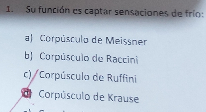 Su función es captar sensaciones de frío:
a) Corpúsculo de Meissner
b) Corpúsculo de Raccini
c) Corpúsculo de Ruffini
d Corpúsculo de Krause