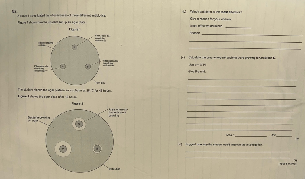 Which antibiotic is the least effective? 
A student investigated the effectiveness of three different antibiotics. Give a reason for your answer. 
_ 
Figure 1 shows how the student set up an agar plate. Least effective antibiotic 
Reason_ 
_ 
_ 
(c) Calculate the area where no bacteria were growing for antibiotic C. 
Use π =3.14
Give the unit. 
_ 
_ 
_ 
The student placed the agar plate in an incubator at 25°C for 48 hours. 
_ 
Figure 2 shows the agar plate after 48 hours. 
_ 
_ 
_ 
_ 
_
Area= _ 
Unit_ 
(5) 
(d) Suggest one way the student could improve the investigation. 
_ 
_ 
(1) 
(Total 9 marks)