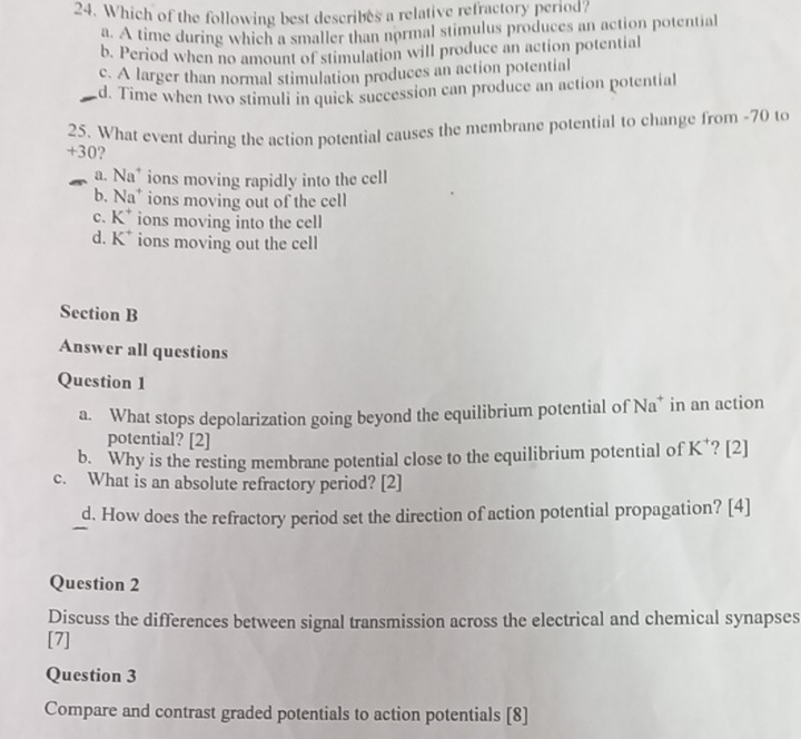 Which of the following best describes a relative refractory period?
a. A time during which a smaller than normal stimulus produces an action potentia
b. Period when no amount of stimulation will produce an action potential
c. A larger than normal stimulation produces an action potential
d. Time when two stimuli in quick succession can produce an action potential
25. What event during the action potential causes the membrane potential to change from -70 to
+30?
a. Na* ions moving rapidly into the cell
b. Na ions moving out of the cell
c. K^+ ions moving into the cell
d. K^+ ions moving out the cell
Section B
Answer all questions
Question 1
a. What stops depolarization going beyond the equilibrium potential of Na^+ in an action
potential? [2]
b. Why is the resting membrane potential close to the equilibrium potential of K ? [2]
c. What is an absolute refractory period? [2]
d. How does the refractory period set the direction of action potential propagation? [4]
Question 2
Discuss the differences between signal transmission across the electrical and chemical synapses
[7]
Question 3
Compare and contrast graded potentials to action potentials [8]